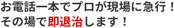 お電話一本でプロが現場に急行！その場で即退治します！