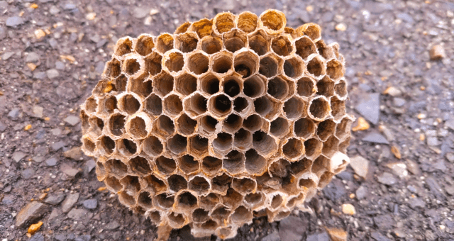 作業完了のご報告