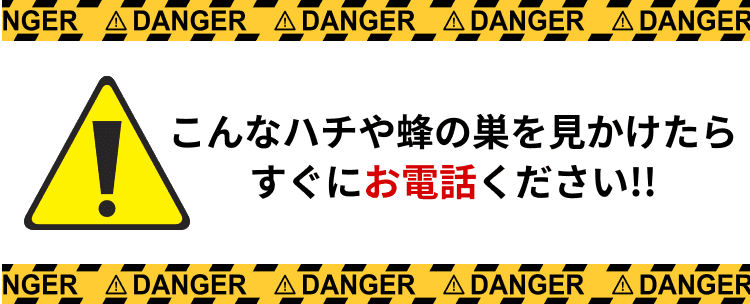 こんなハチや蜂の巣を見かけたらすぐにお電話ください!!