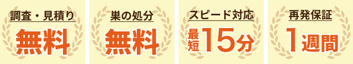 調査・見積り無料。巣の処分無料。スピード対応最短15分。再発保証1週間。