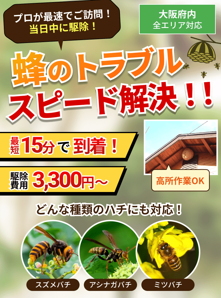 蜂のトラブルスピード解決！！プロが最速でご訪問！当日中に駆除！大阪全エリア対応。高所作業OK。スズメバチ・アシナガバチ・ミツバチどんな種類のハチにも対応！